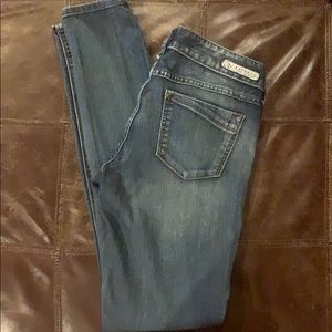 Express Zelda Medium Wash Skinny Jean 2R